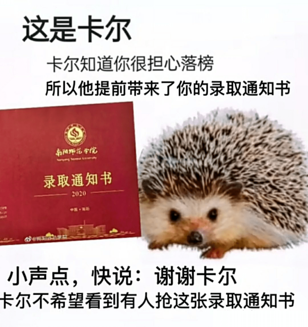 刺猬卡尔meme图片