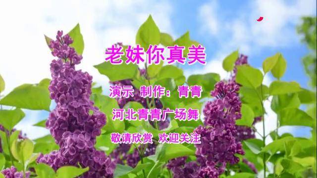 清爽东北风dj老妹你真美动感16步歌醉舞美