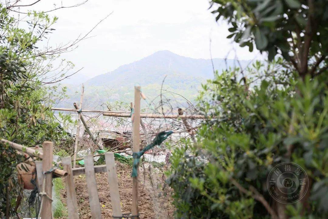 野草|中国摄影网签约摄影师深蓝：多余的地方