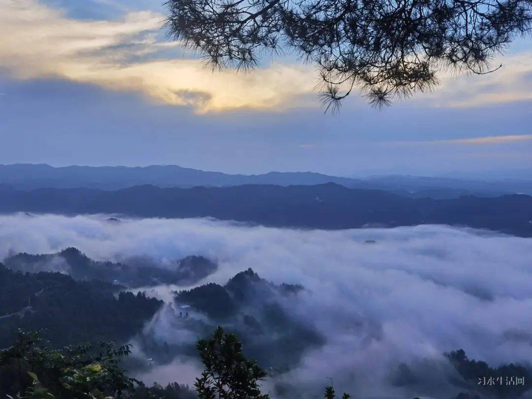 習水飛鴿吸引全國各地很多遊客來看雲海日出風景簡直太美啦