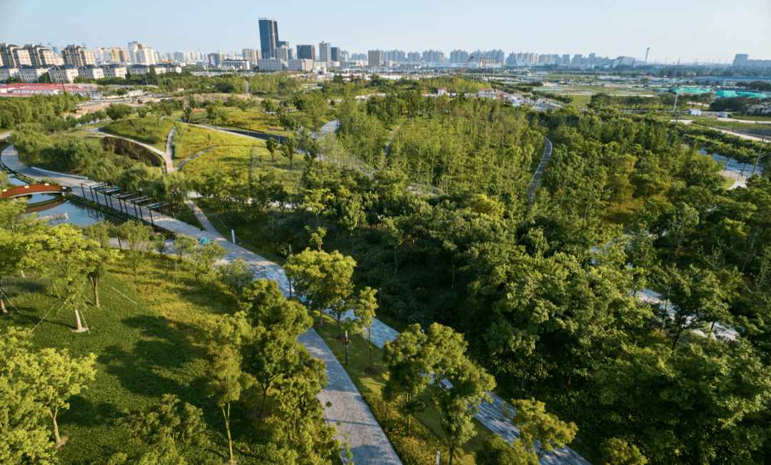 "公园"里上班是啥感觉?_绿地