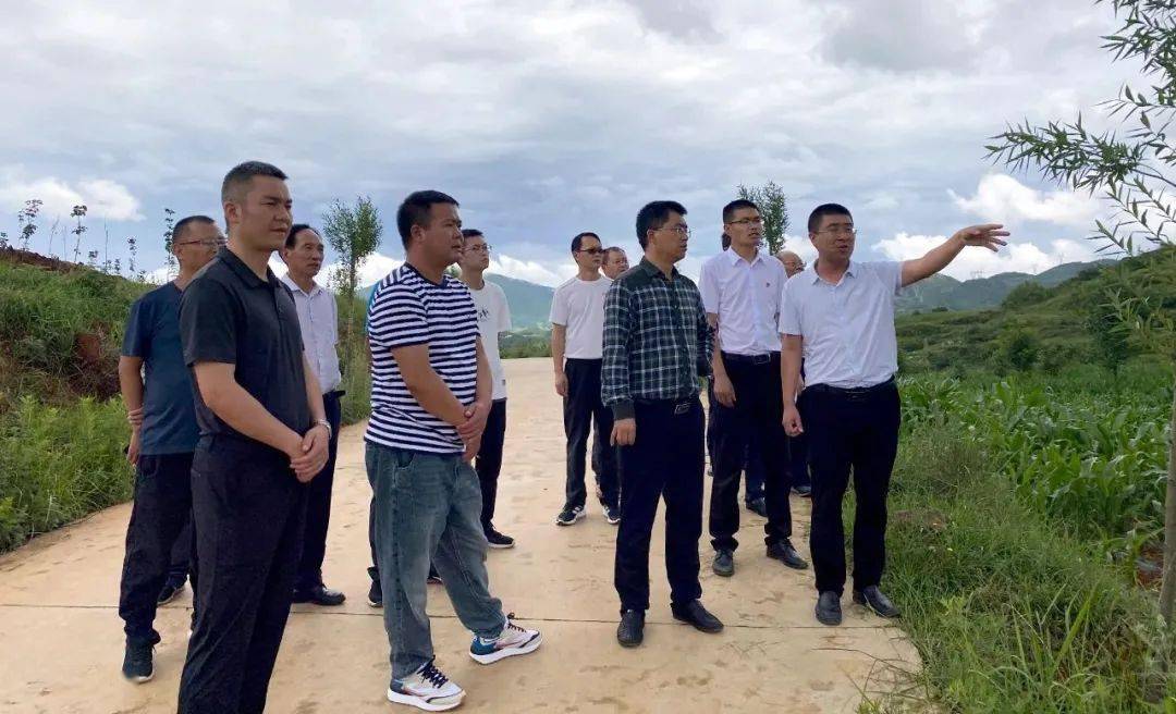 农业,林草等部门到江底镇调研乡村振兴等工作,副县长邱毅萍参加调研
