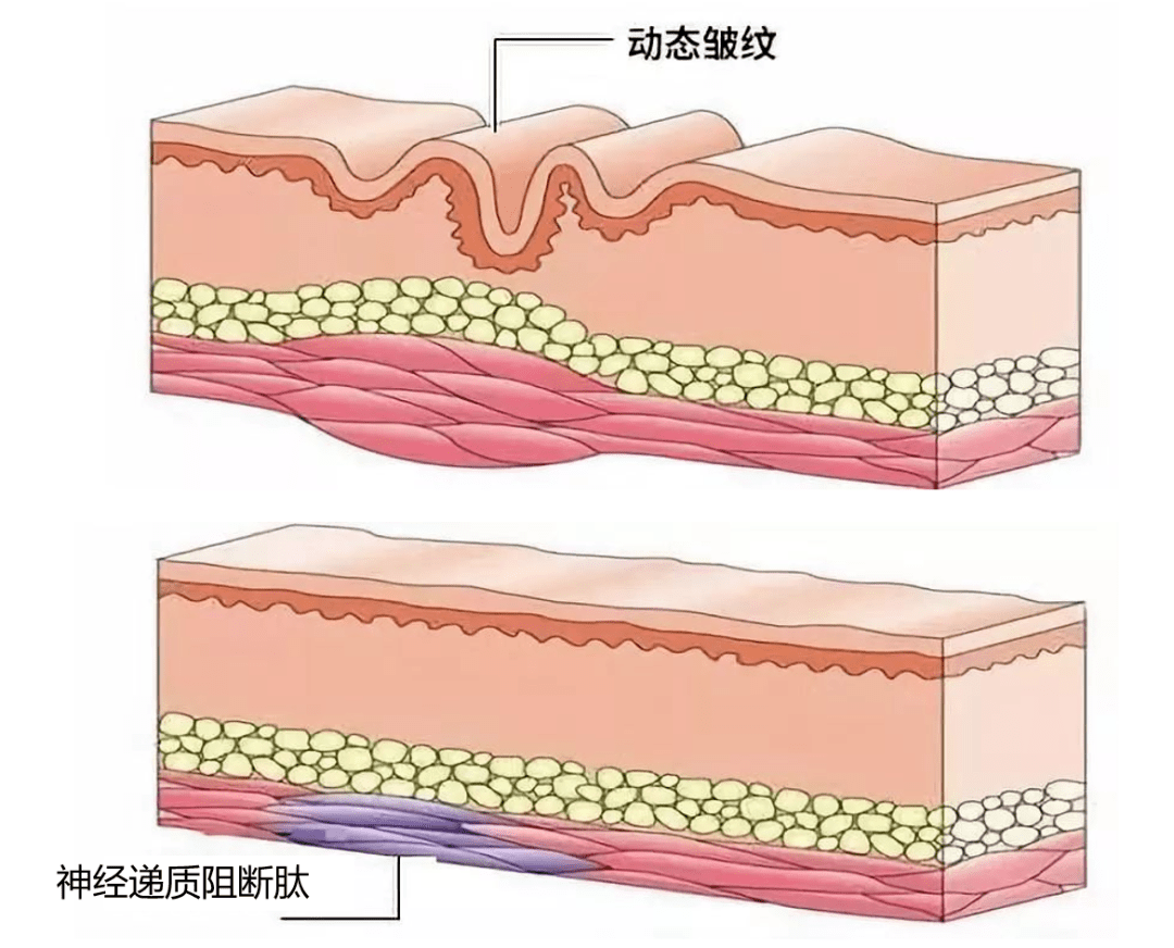 Before|秘籍 | 从滤镜美人到生图惊人，21天，拿捏了