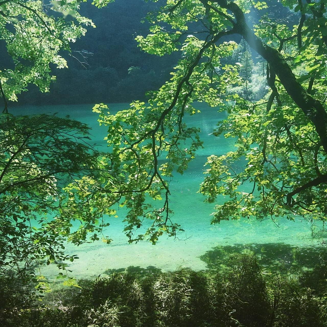 炎炎夏日,過一個25°c清涼夏天,這幾個避暑寶地可別錯過了