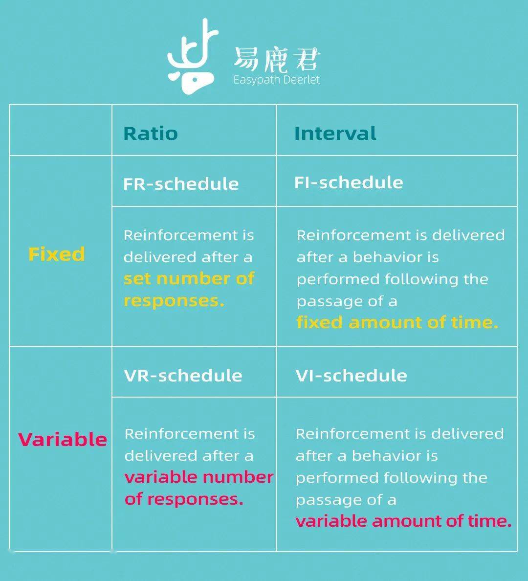 训狗跳舞哪家强哈佛找斯金特introtooperantconditioning上