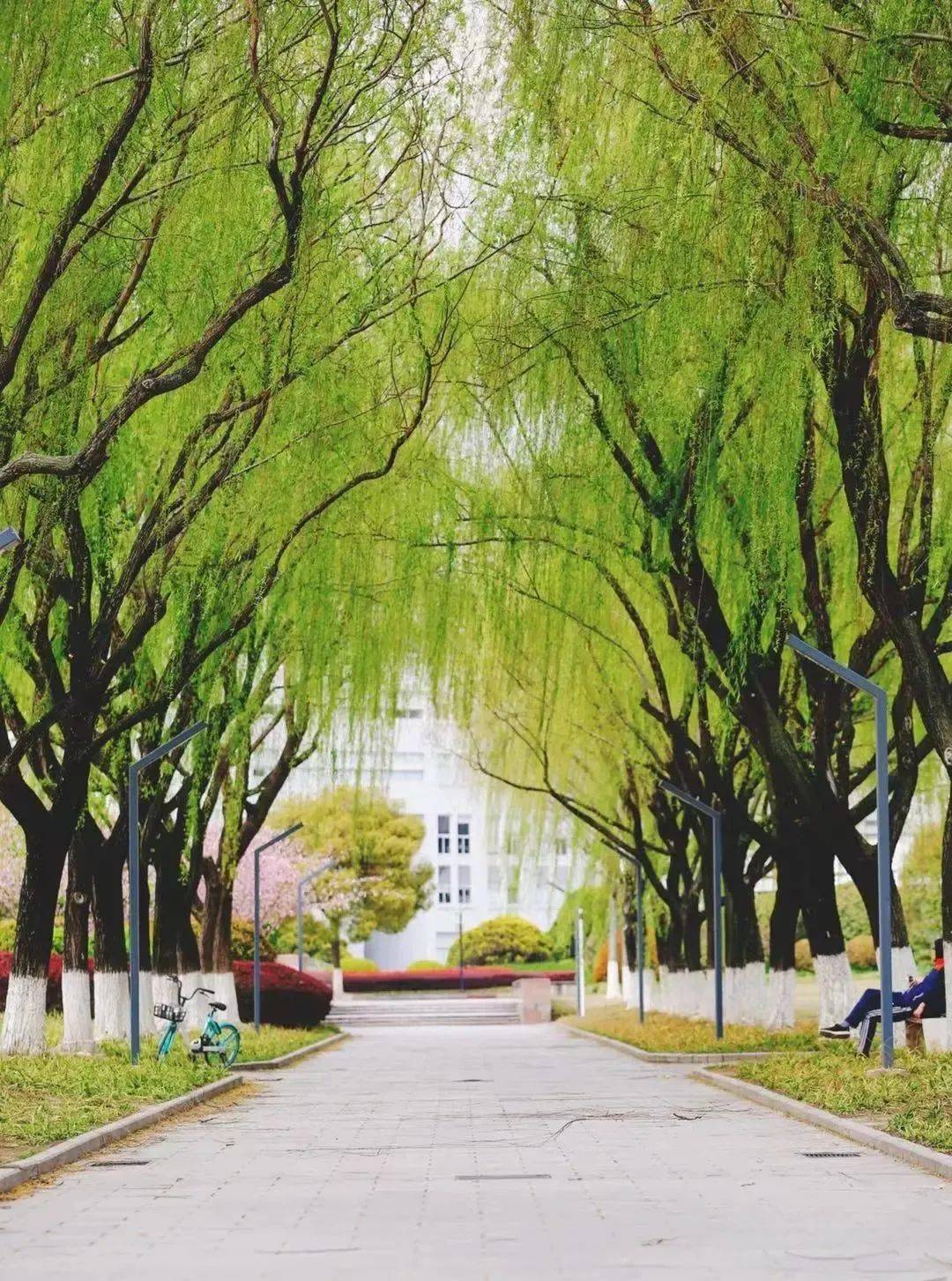 启航7月10日上海大学2021年毕业典礼全程直播