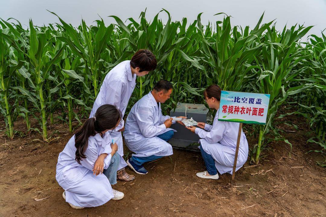 技术|气候智慧型农业来了，辽宁一地已有示范区