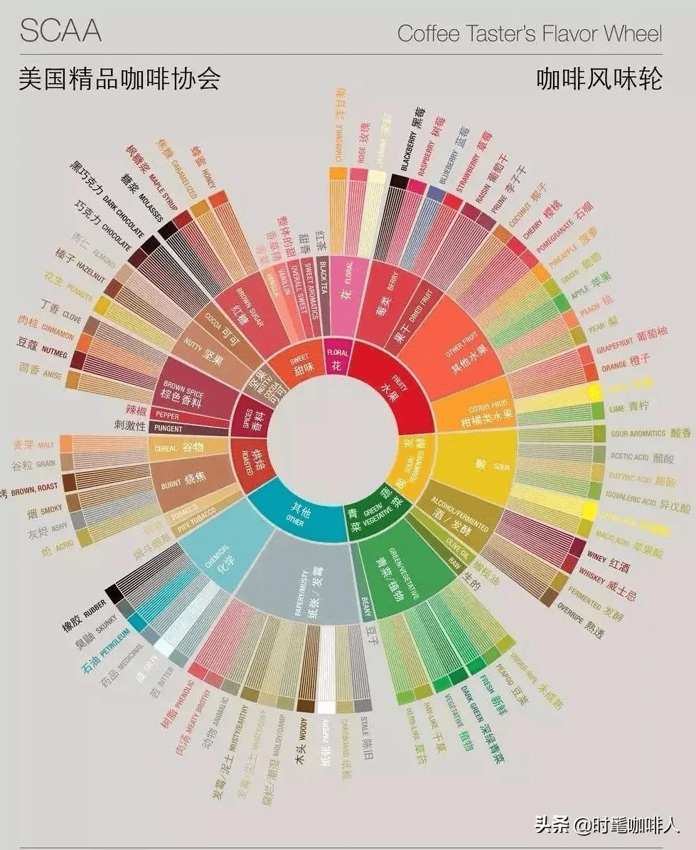 8种主流咖啡豆，它们的主要味道能喝出来吗？_搜狐网
