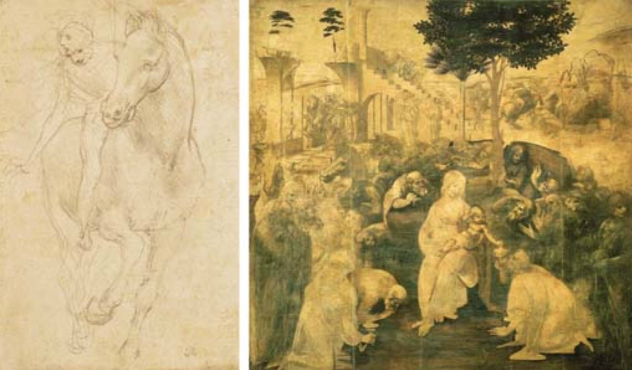 拍卖|达·芬奇微型素描《熊的头部》拍出1220万美元