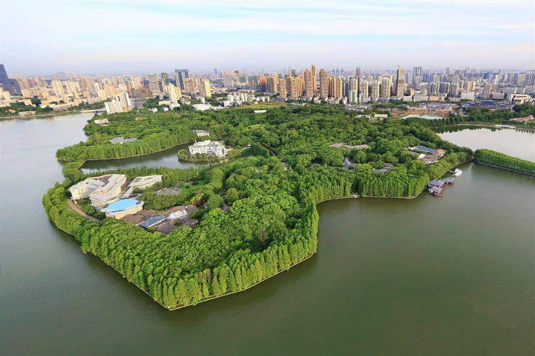 东湖宾馆:让文化品牌成为第一竞争力