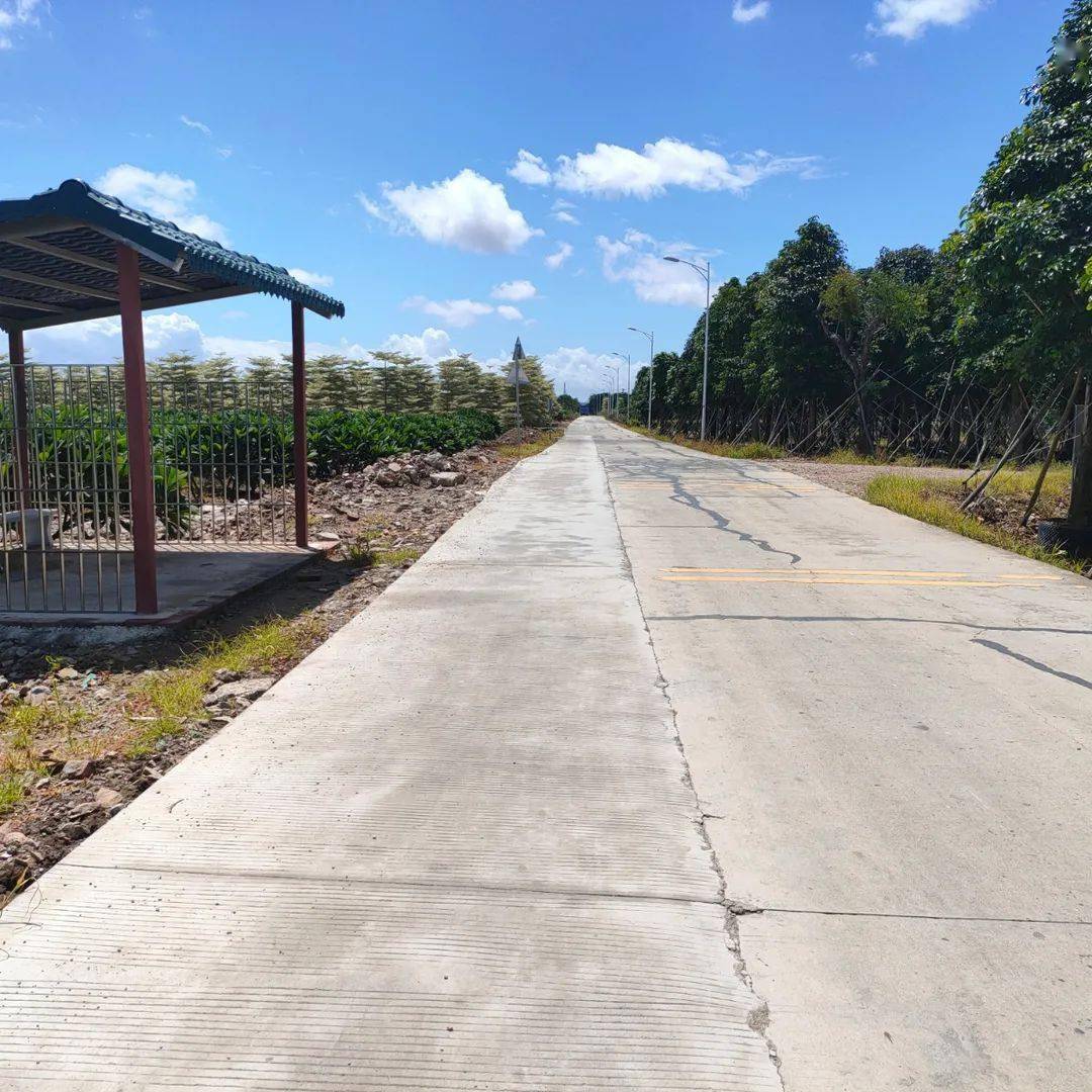 我为群众办实事通向村民的心房群安村这条道路变样了