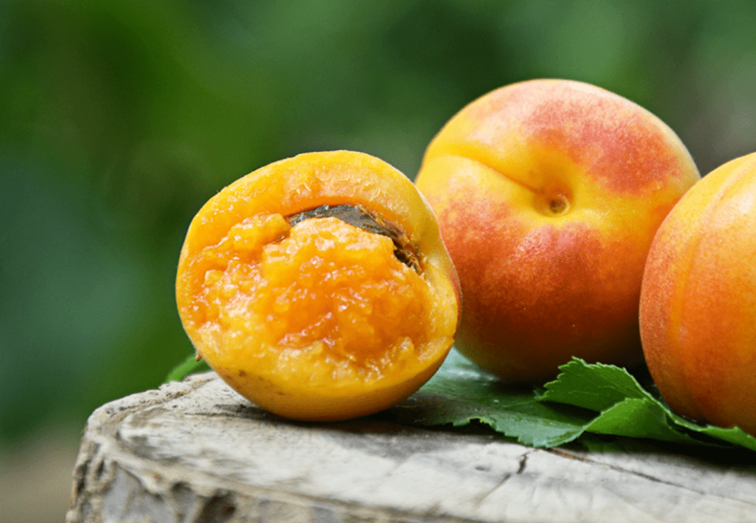 在最恰当的时间,便能够品尝到新疆农人果园里, 最地道的新疆小红杏