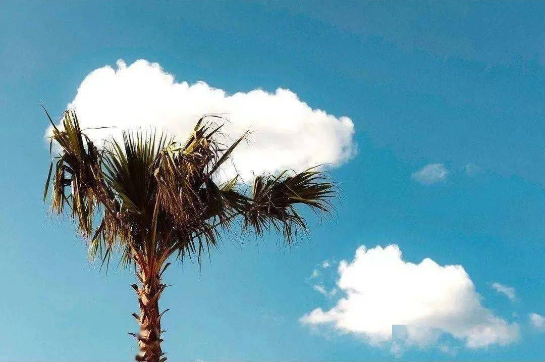 什么是生活的良药 43b0740f89f9499b8be6de24d4611107.jpeg