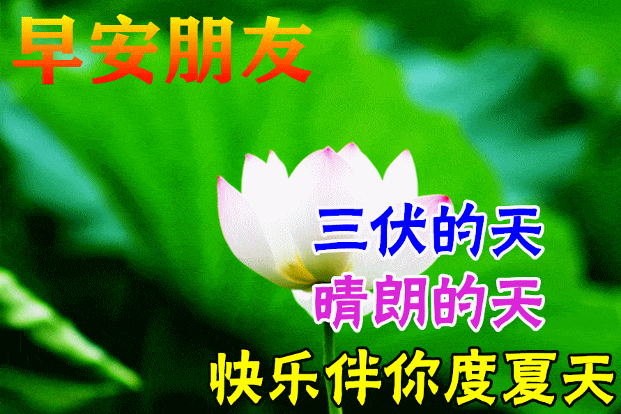 扇蒲扇,照难眠,不应有蚊何处长吻你的脸,夏有三伏酷热,冬有三九严寒