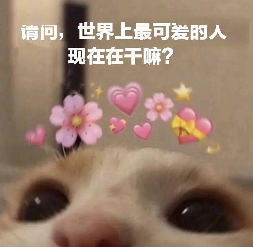 2d773618dd1f4d91a23e34510d760ebd.jpeg
