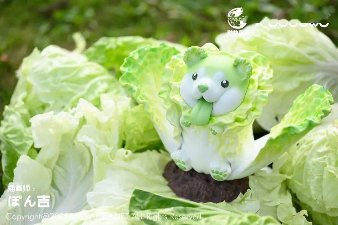 67新品预定~ 动物星球 dodowo 果物精灵 网红款 开花菜狗