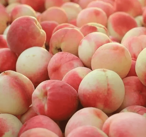 功效|桃香满枝头！这种果子对缓解咳喘也有良效