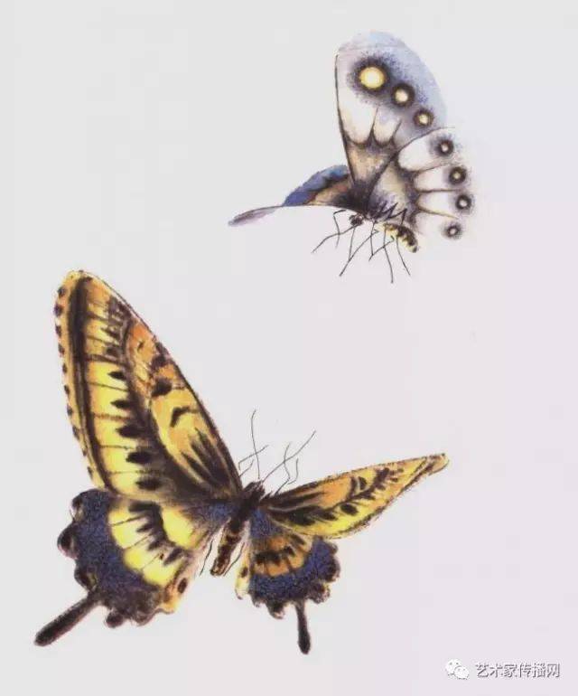万钟百蝶图中国一绝没骨工笔蝶画大家