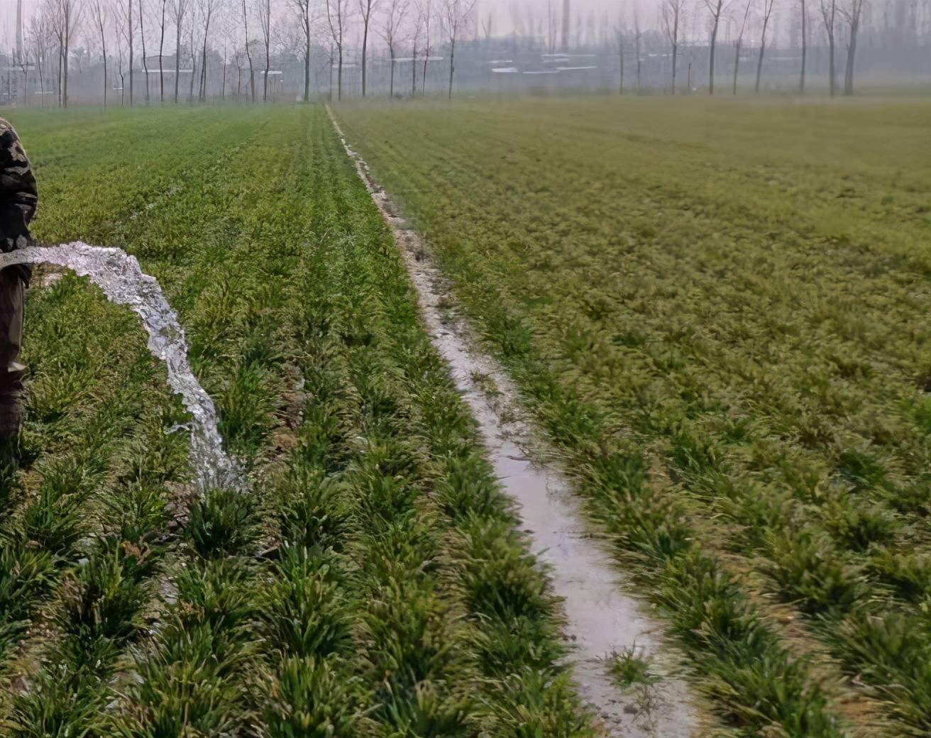 河南人浇地变化录