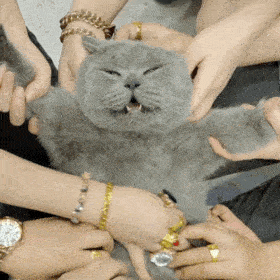 280_280gif 动态图 动图