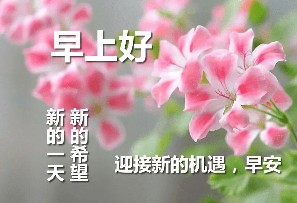 丝丝缕缕意思 8834c886dba24bc7a8c629f5cba40e0f.png