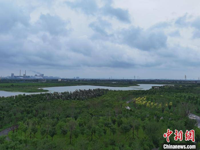 图为绿屏·辛庄湾. 王君妍 摄