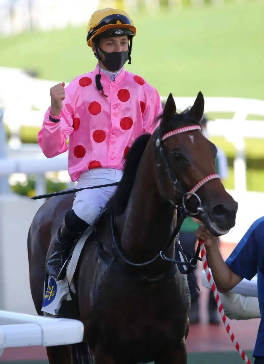 【赛马】应届冠军骑师莫雷拉火速1100胜