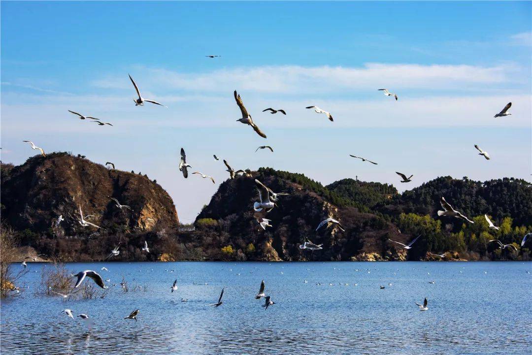 密云水库水位2021年 afcb19d2b4614404be2a88fa0ca9cbee.jpeg