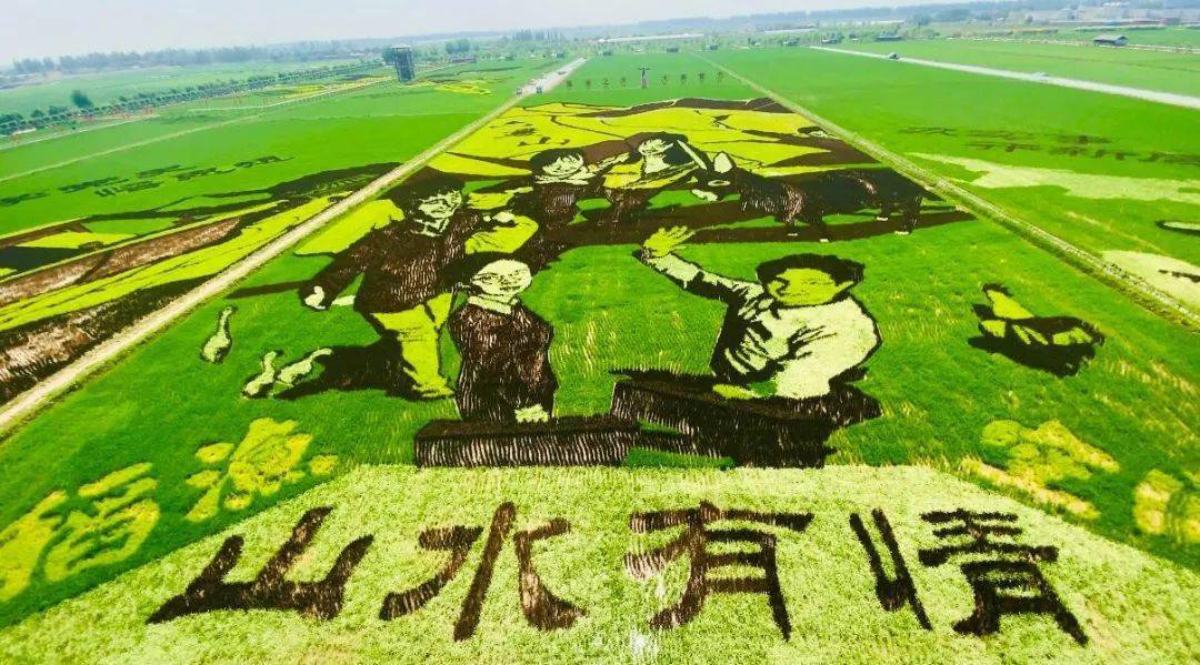 以稻作画！宁夏（贺兰）首届稻田艺术节开幕