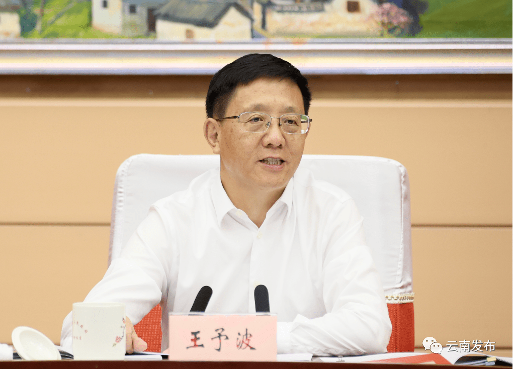 云南省政府召开第115次常务会议强调加强生态文明建设培育发展新型