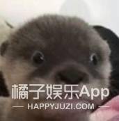 来人|重新定义美丽？赵薇登杂志封面画风诡异，难以理解的时尚又增加了
