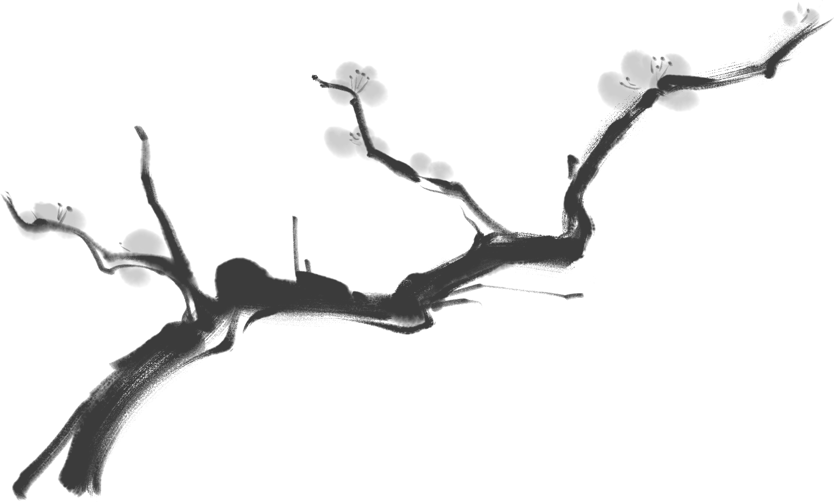 红星专访 曾患罕见病的阿乙携新书归来 休息太多 反而产生焦虑 写作