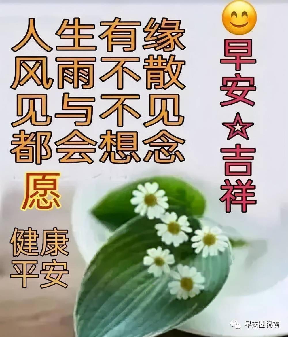 人海茫茫相逢不易真诚相待祝福永远早安