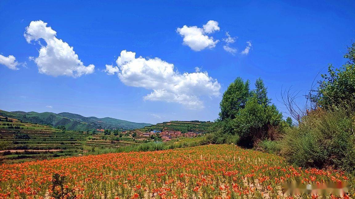 兰州南部大山深处阿干镇西沟口登顶七道梁穿越西果园袁家湾