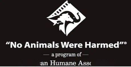 它被骂成中国影史最低分电影不冤