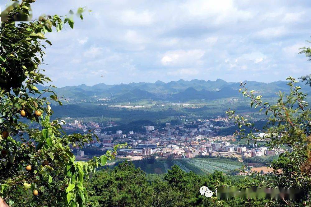 偷得浮生半日闲登云踏雾老圭山