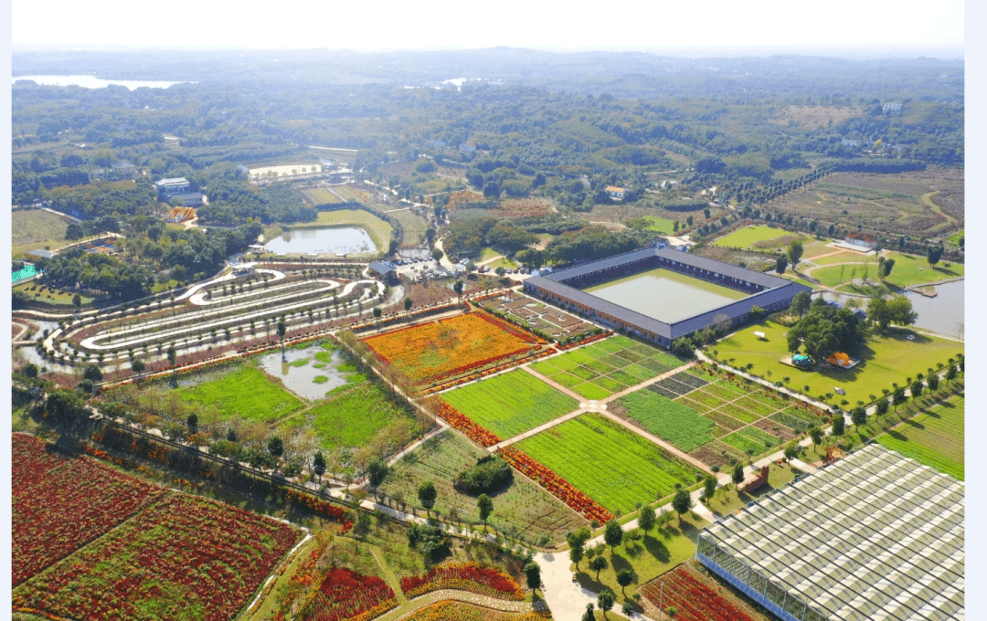 专访荆州区八岭山镇党委书记占中华