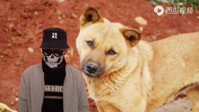 土狗三角眼凶狠的面相老人还要看眼水清