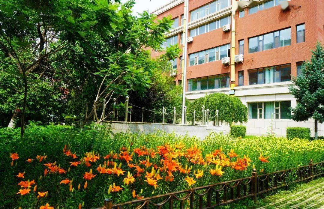 文化高中 对语百合 写给校园里盛开的校花 礼赞百合 一 马蹄莲