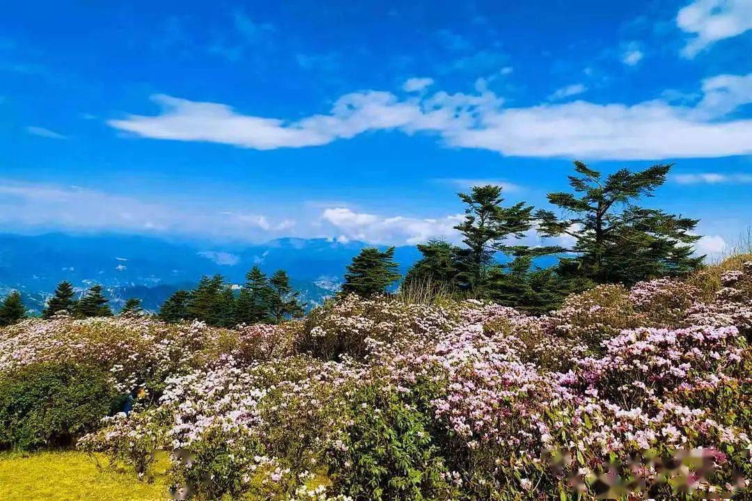 德昌县美图欣赏