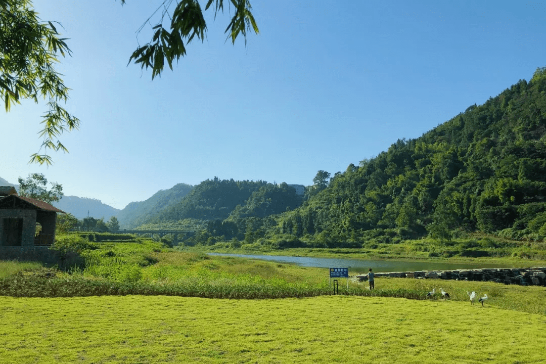 三幢建築,泳池和大面積的休閒草坪 純白色的建築和竹林 在美麗的群峰