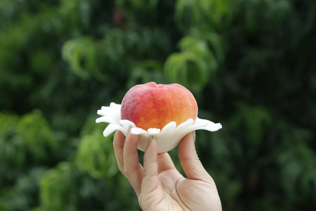 一个种专属夏天的味道——蟠桃