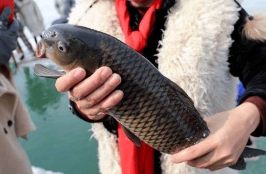 抓鱼啦来新兴这里体验真人抓鱼抓到就是你的