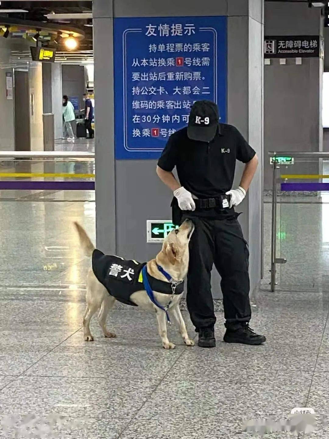 哈哈哈哈哈哈心疼打工狗!