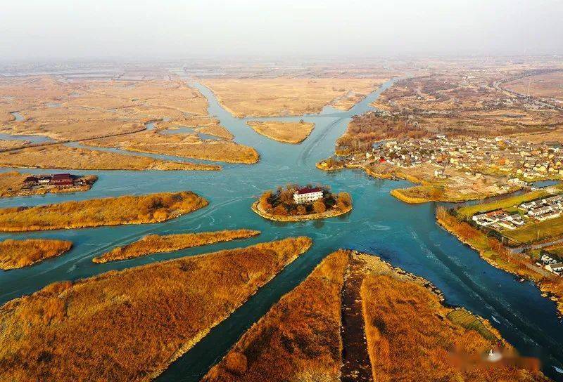 乘坐景区的游船,可以欣赏九龙口原汁原味水乡风景,水中的鱼时而跃出