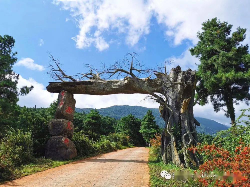 我们从昆明出发,沿昆石高速—九石阿旅游专线到石林圭山镇,再从圭山