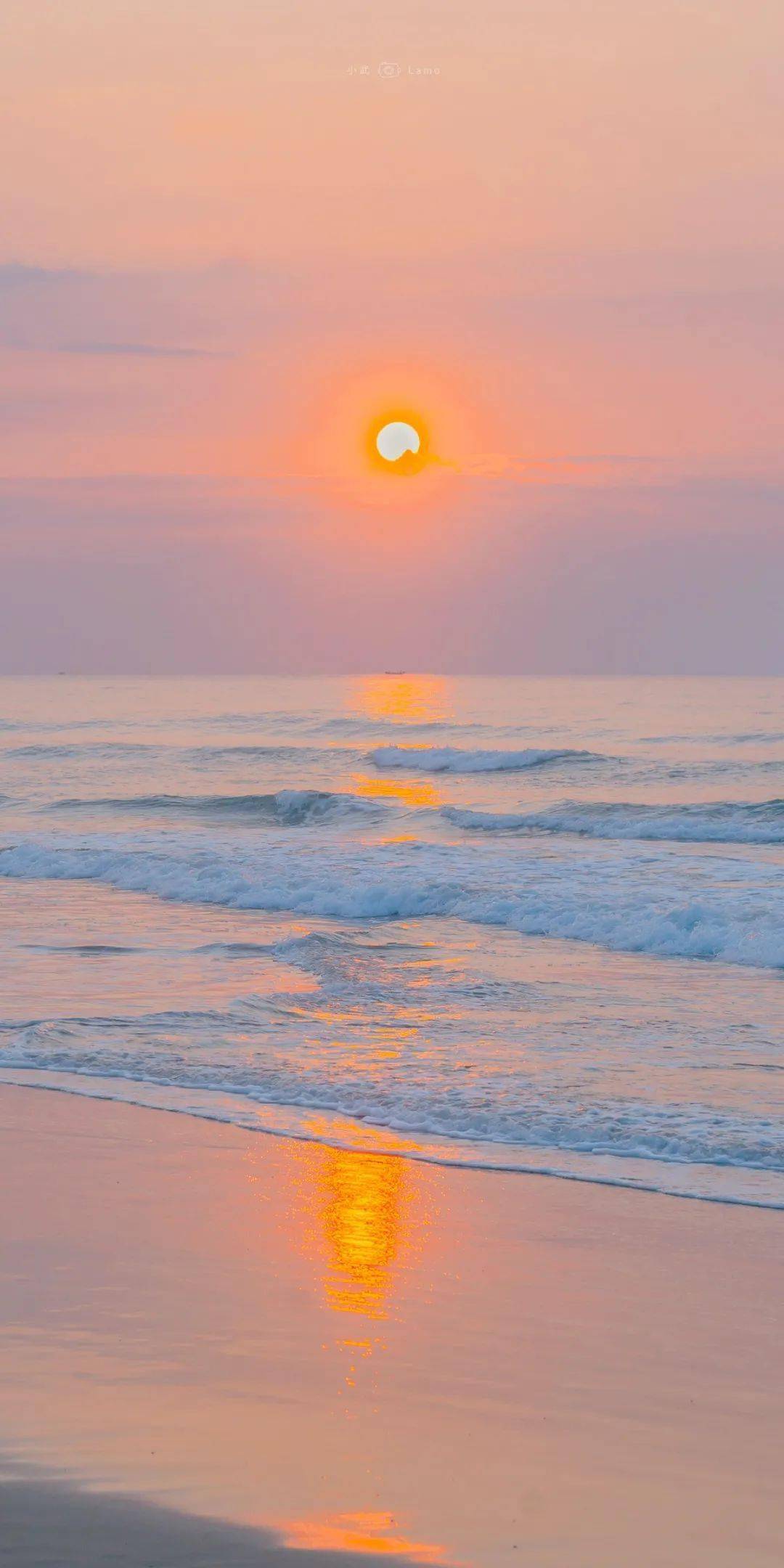 你的壁纸该换啦100张夏日限定壁纸好绝