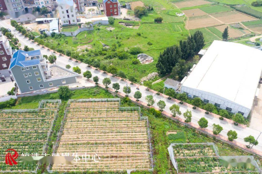 江鏡鎮南宵村:以路為媒 勾勒鄉村振興風景線