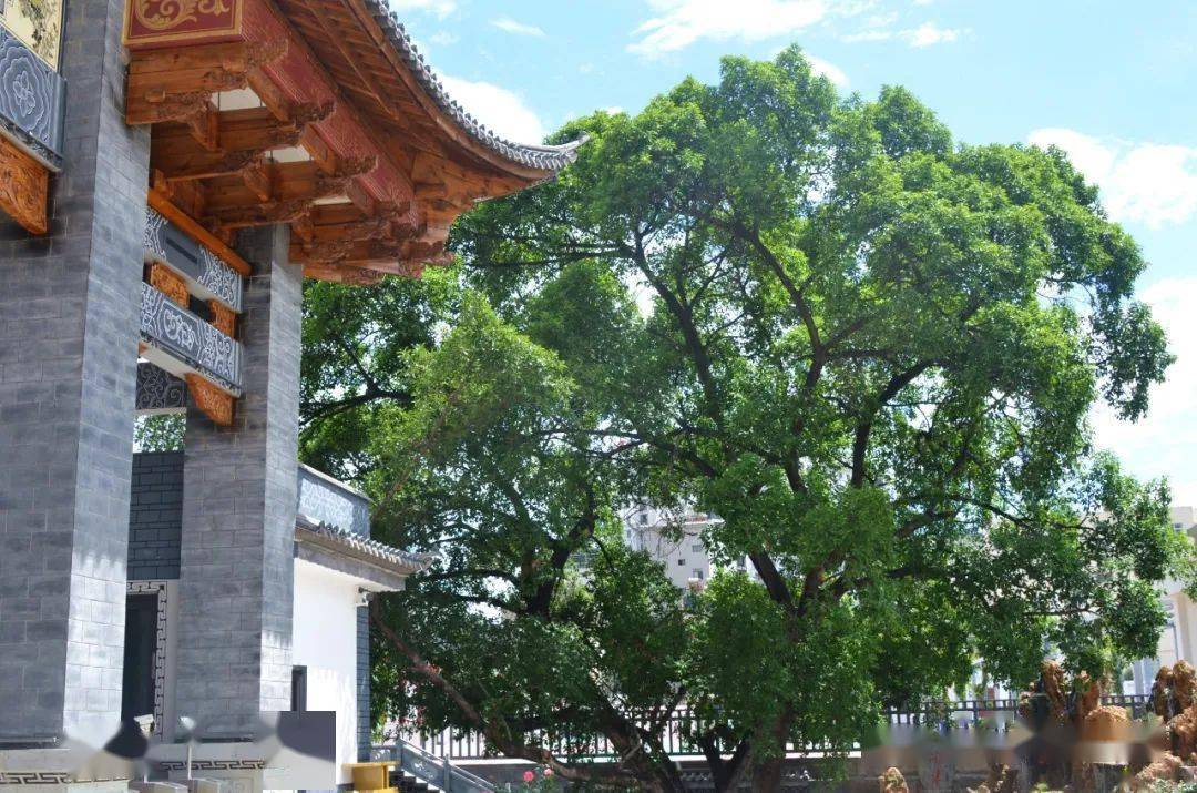 站在一道雕梁绣柱的大门前抬头仰望,光芒洒下,门牌上"南涧县第一中学"