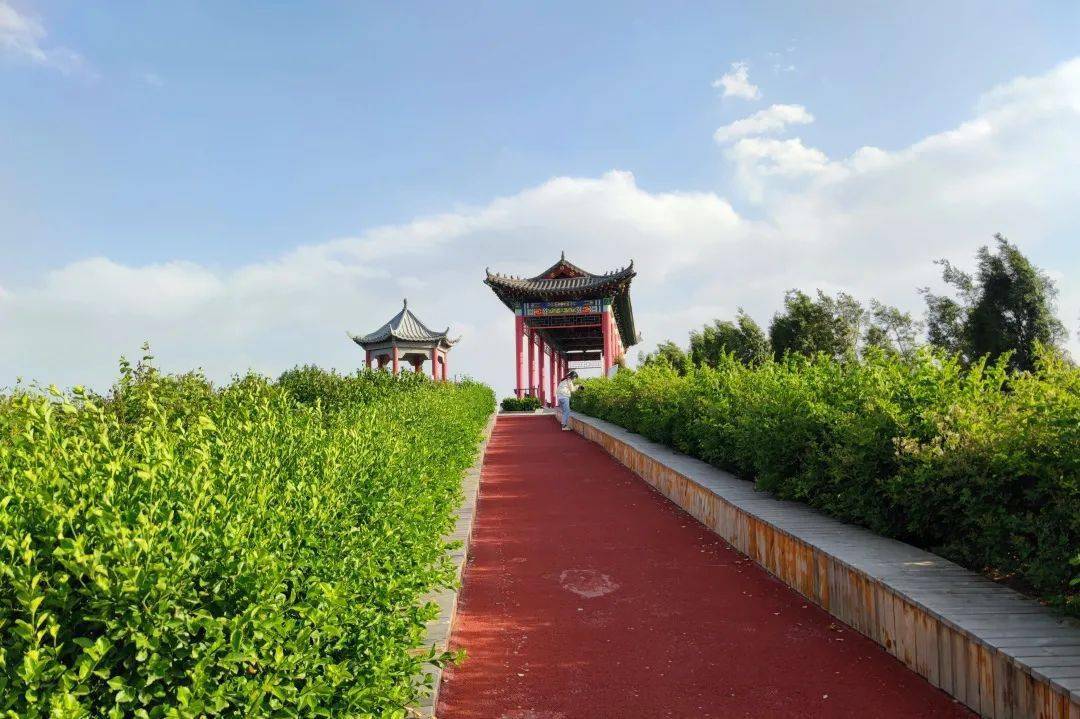 滏陽溼地公園,固源西浦溼地公園,龍洞珠泉風景區等地方遊覽參觀,一